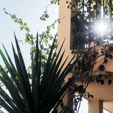 Creste E Mare 3* Ajaccio (Corsica)